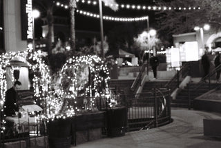 Still No.2 by Catherine F. Powers; PREORDER Archival Silver Gelatin Photography Print