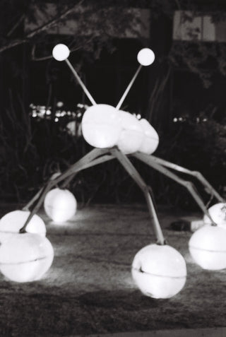 Still No.10 by Catherine F. Powers; PREORDER Archival Gelatin Photography Prin
