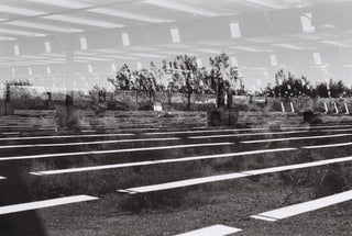 Black and white fine art photograph of outdoor tiered concrete seating or bleachers with rows of benches, sparse trees, and a large translucent roof structure overhead.